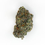 Blueberry Cheesecake Hybrid AAAA+