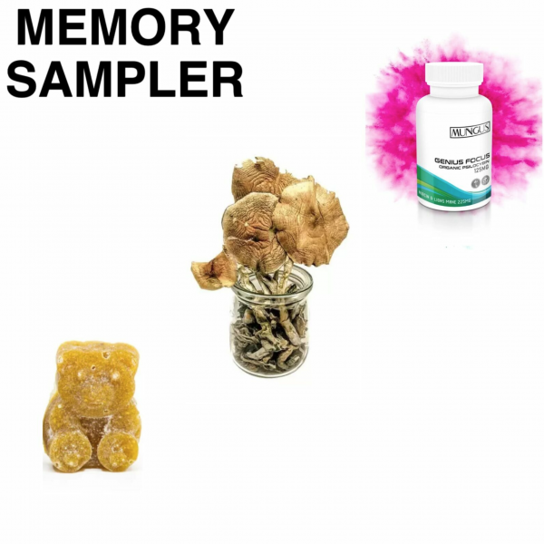 Memory Sampler