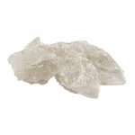 Pure Champagne Molly