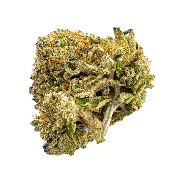 Animal Cookies | Kootenay Quad AAAA+ 28G