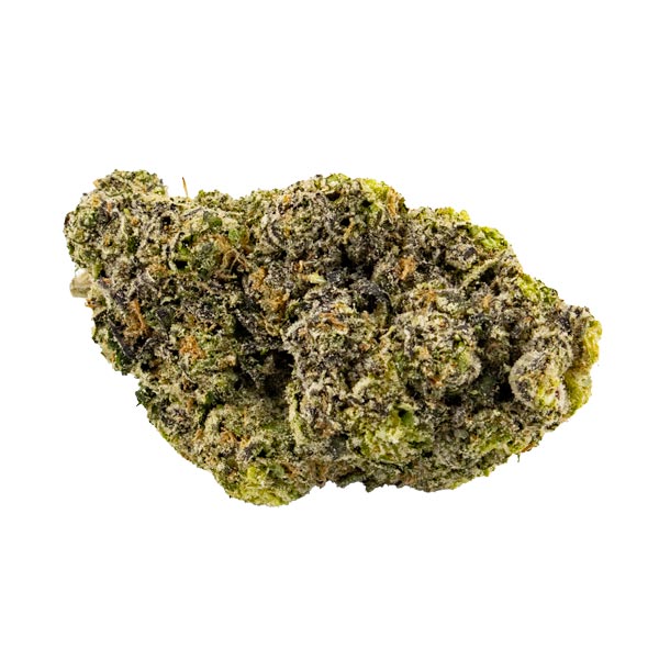 Ice Cream Gelato Hybrid AAAA+