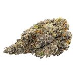 Lemon Cherry Pie | Kootenay Quad AAAA+ 28G