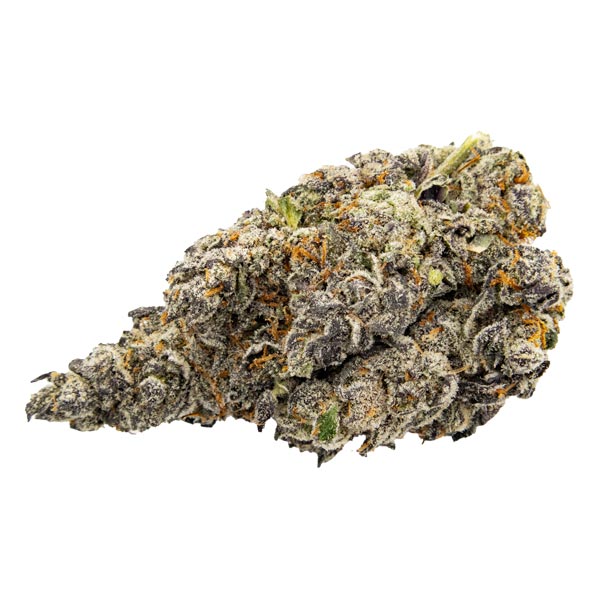 Lemon Cherry Pie | Kootenay Quad AAAA+ 28G