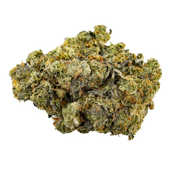 MMC | Kootenay Quad AAAA+ 28G