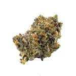 Purple Devil Hybrid AAAA+