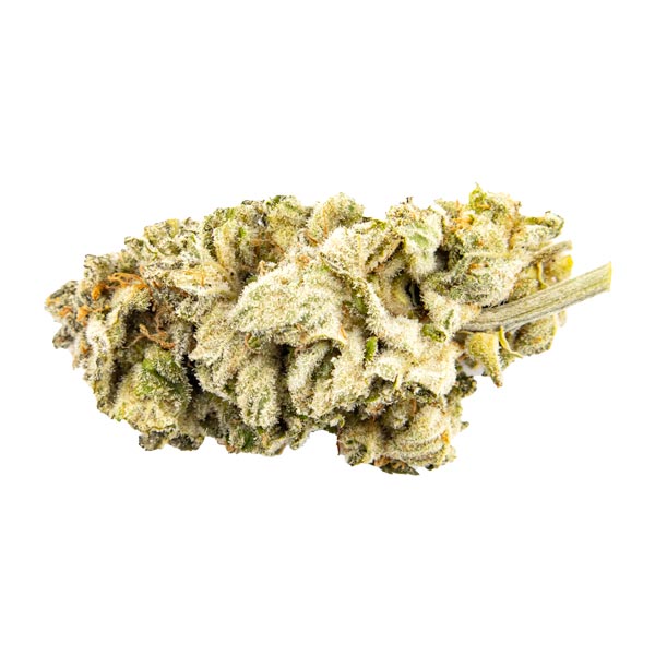 Purple Moonlight | Kootenay Quad AAAA+ 28G