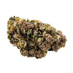 Purple Raine Hybrid AAAA+