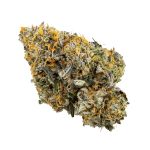 Sunset Sherbert | Kootenay Quad AAAA+ 28G