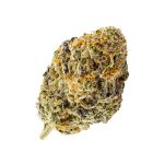 Vanilla Cream Pie Hybrid AAA