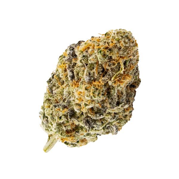 Vanilla Cream Pie Hybrid AAA