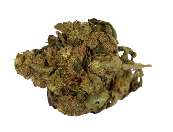 Cheap Weed Best Friend OG Sativa 28G $69