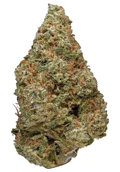 Power Plant Sativa AAAA+