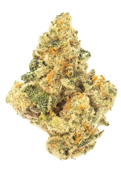 Super Sonic Sativa AAA