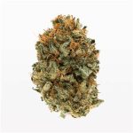 Gorilla Glue #4 Hybrid 28G $69 Cheap Weed