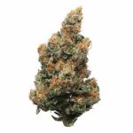 Memory Loss Sativa AAAA+