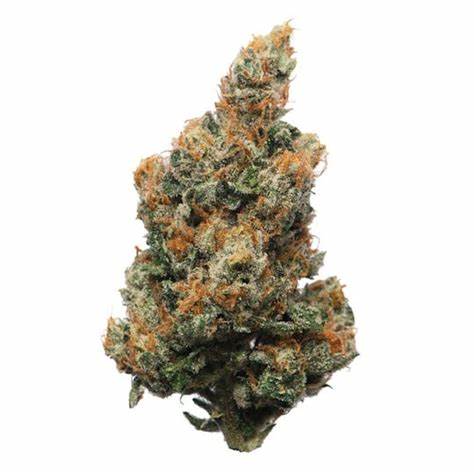 Memory Loss Sativa AAAA+