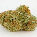 Original Z Indica AAAA+