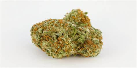 Original Z Indica AAAA+