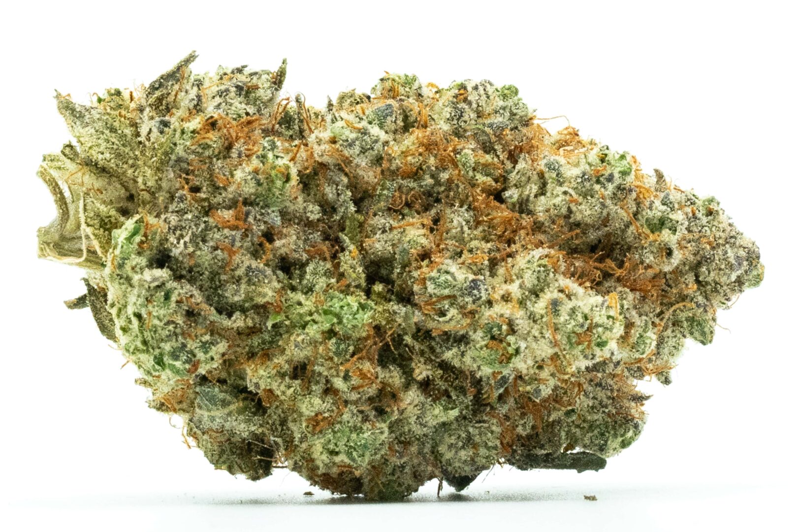 Wet Dream Sativa AAA